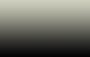 Ecolingerie : the only website to review luxury lingerie with ecofashion criterias Ecolingerie : the only website to review luxury lingerie with ecofashion criterias